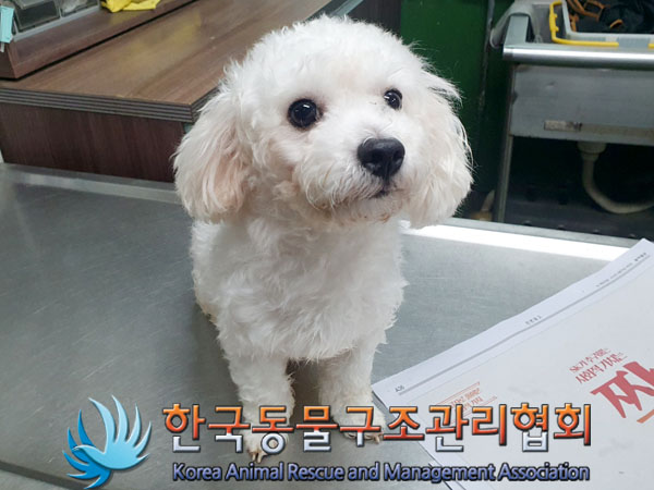 한국동물구조관리협회_441392202300214